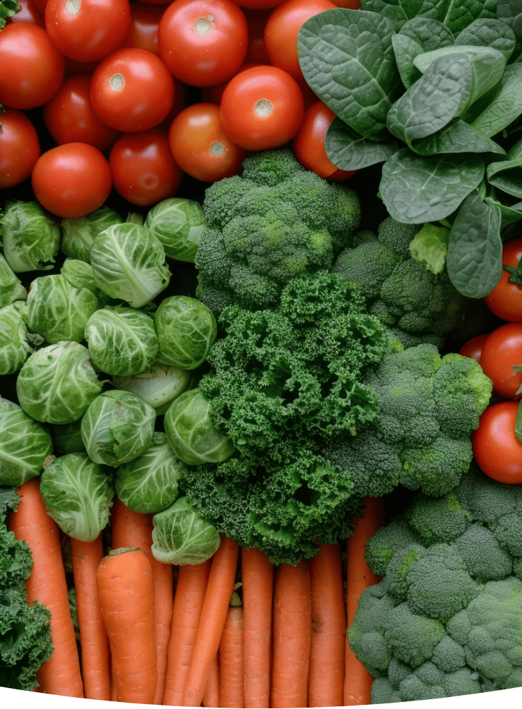 品質と安心の架け橋