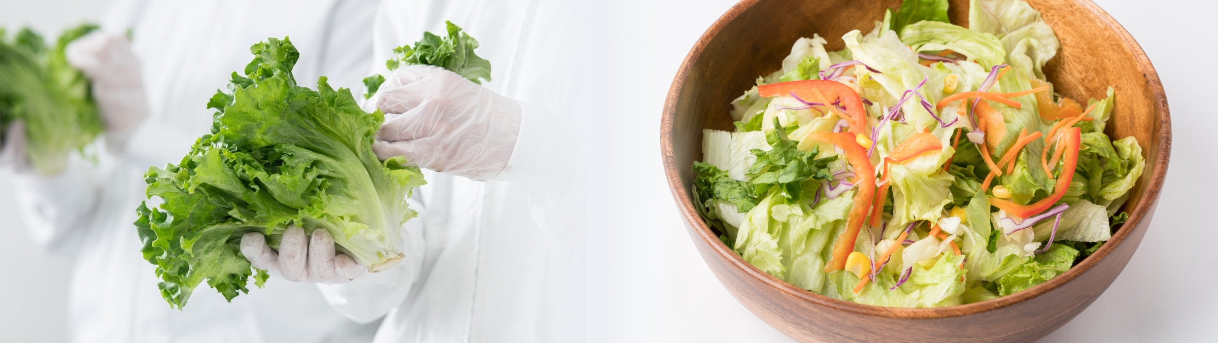 カット野菜工場