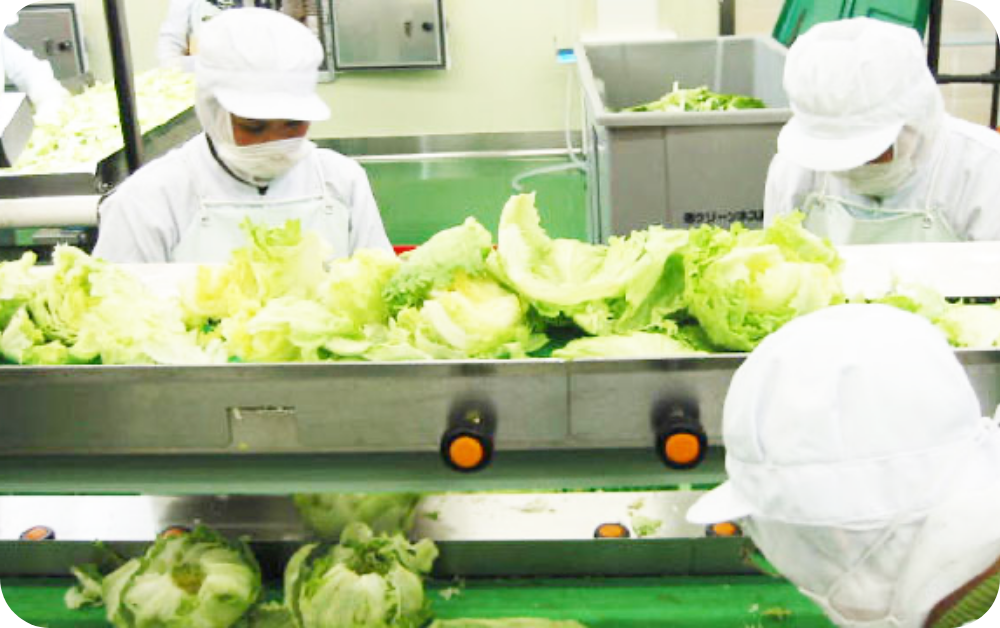 お客様の多様なニーズに対応し、新たな価値をご提案