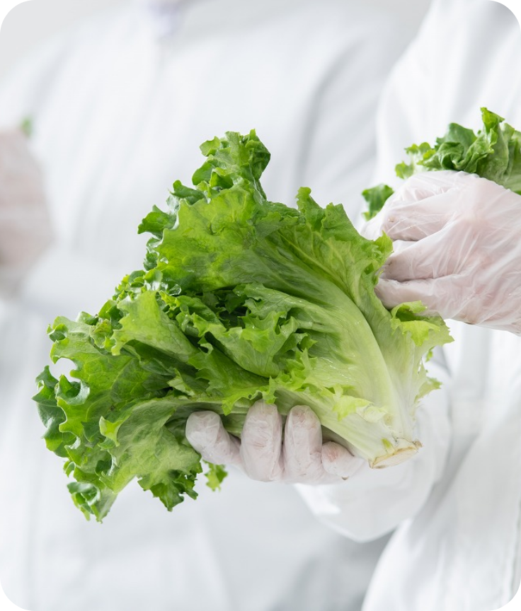 お客様の多様なニーズに対応し、新たな価値をご提案