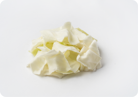 業務用 ざく切りキャベツ