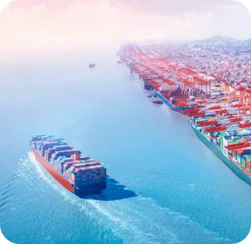 多様な調達ルートによる安定的な仕入を可能に