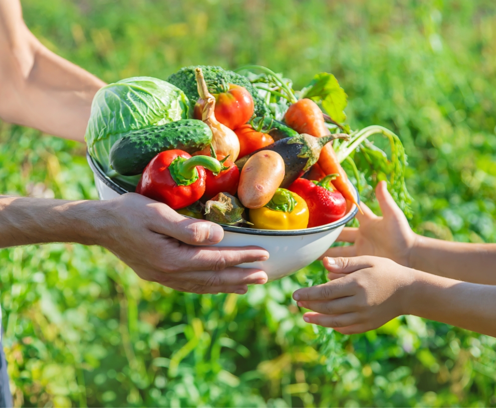 環境を守るために