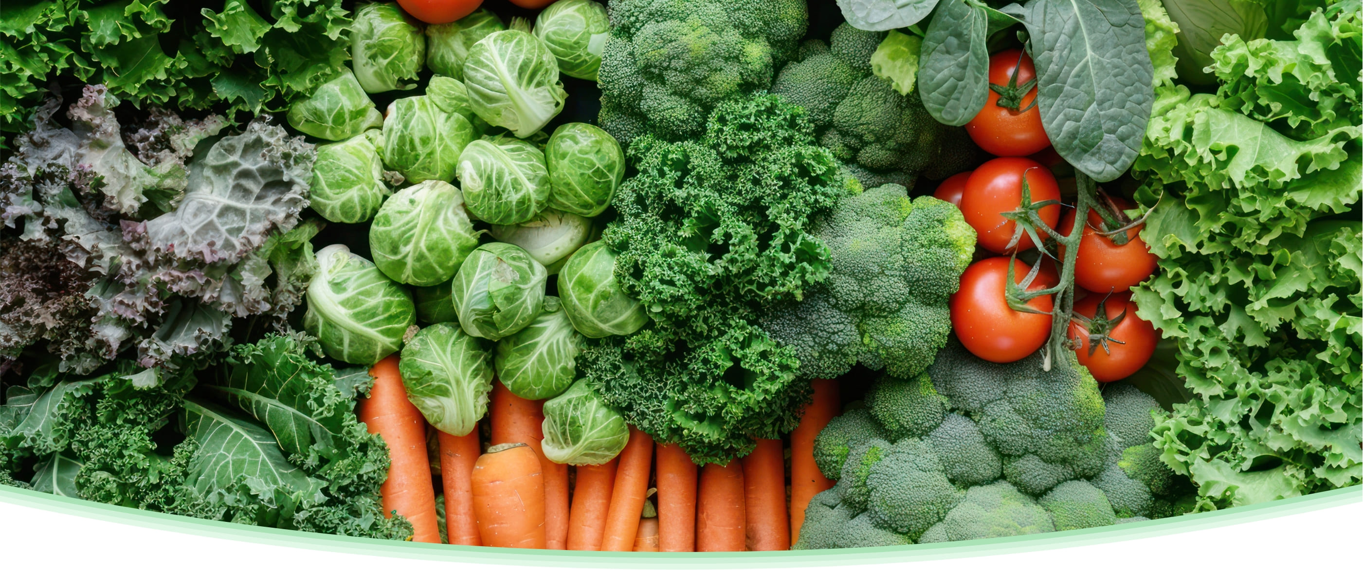 品質と安心の架け橋