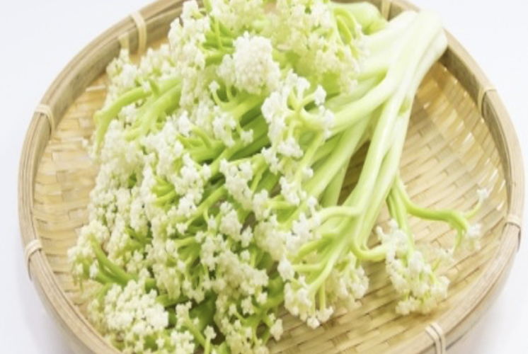 カリフローレ<br />
