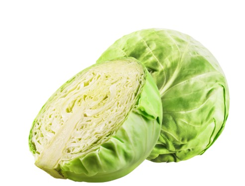 キャベツ