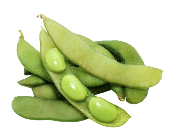 枝豆<br />
