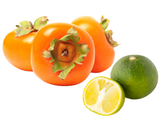 使用した野菜の特徴