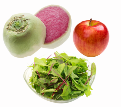 使用した野菜の特徴