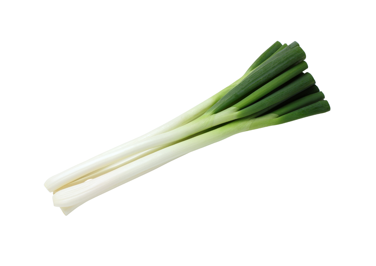 長ねぎ