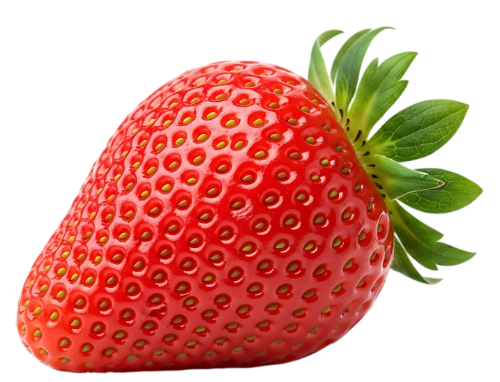 使用した野菜の特徴