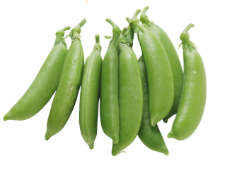 スナップえんどう